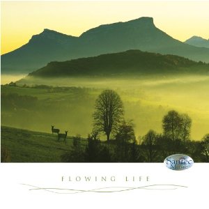 Klangreise (Flowing Life): Wellness - Musik zum Wohlf�hlen. Erfrischend und belebend.
