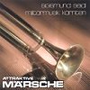 Musik K�rnten