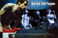 Red Hot Chili Peppers