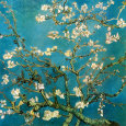 Blühende Mandelbaumzweige, San Remy, ca. 1890