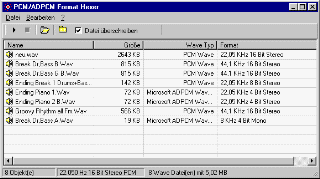 format.gif (10442 Byte)